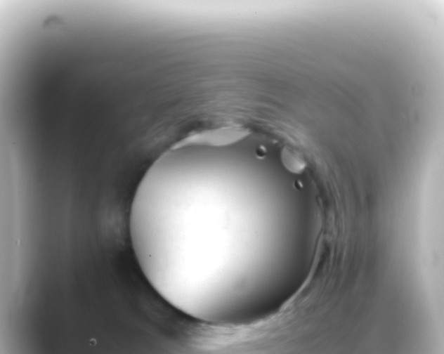 X0000089450037200706221255