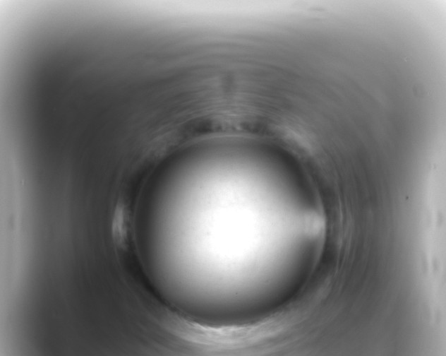 X0000089450038200706221255