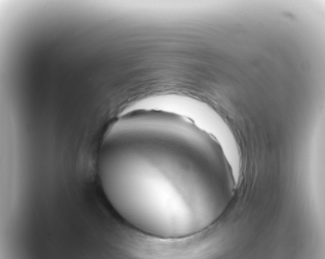 X0000089450039200706221255