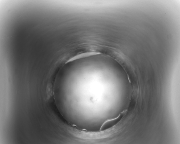 X0000089450043200706221255