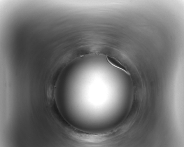 X0000089450044200706221255