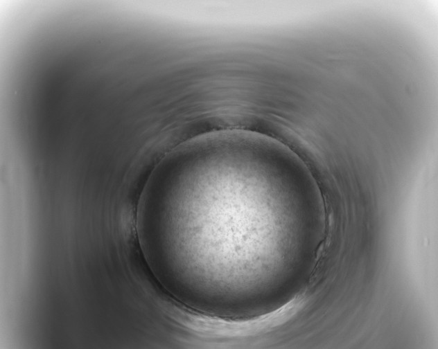X0000089450048200706221255