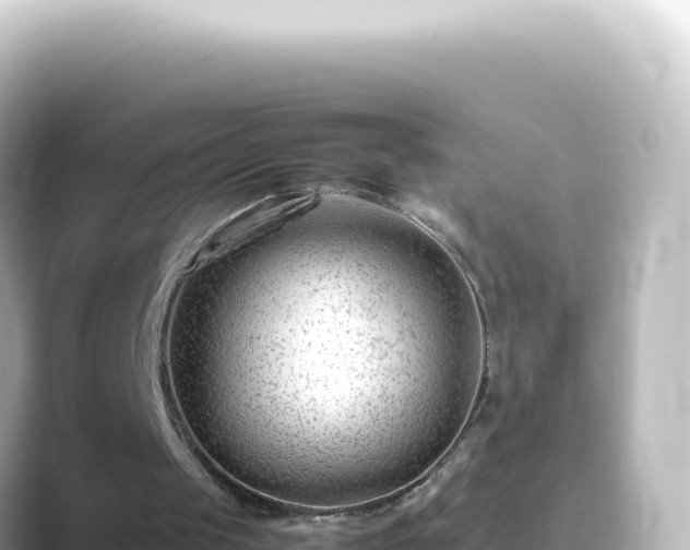X0000089450049200706221254