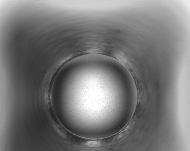 X0000089450050200706221254