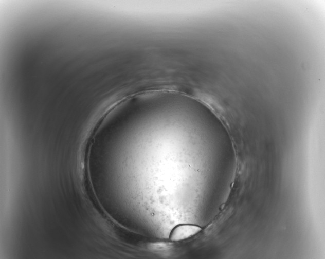 X0000089450053200706221254