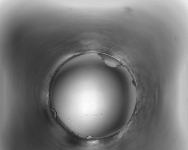 X0000089450054200706221254