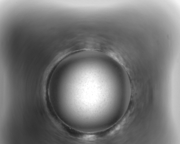 X0000089450055200706221254