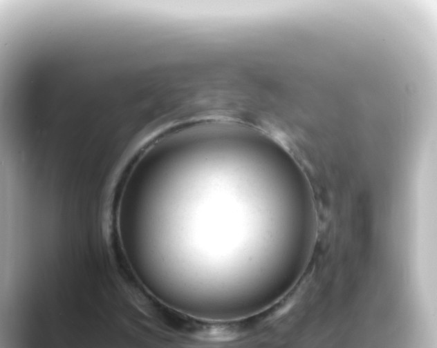 X0000089450056200706221254