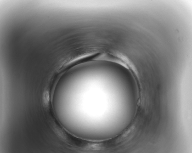 X0000089450057200706221254
