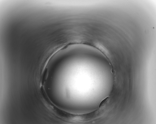 X0000089450058200706221254