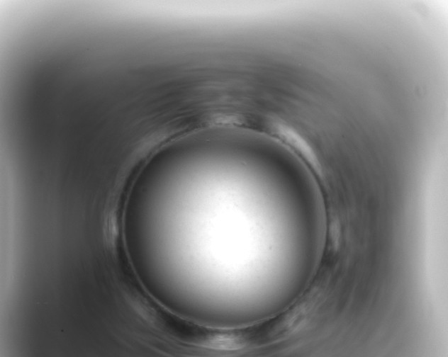 X0000089450059200706221254