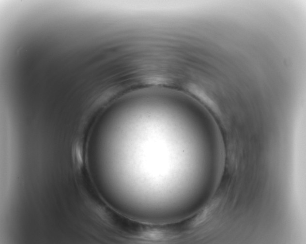 X0000089450062200706221254