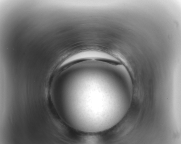 X0000089450063200706221254