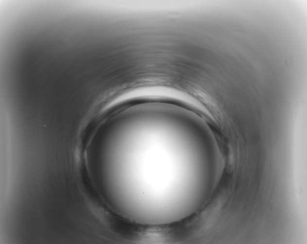 X0000089450064200706221254