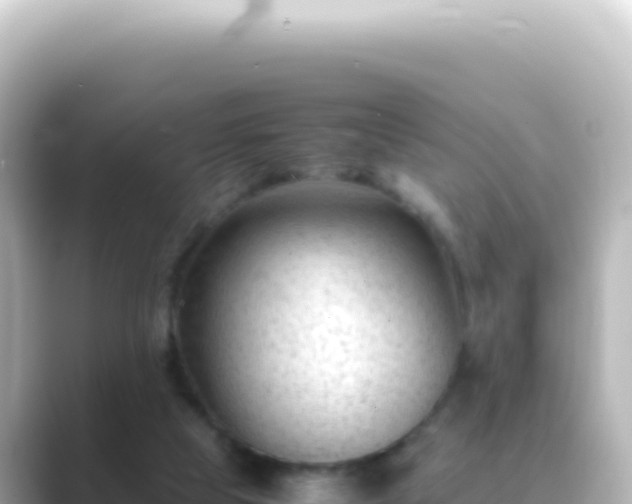 X0000089450065200706221254