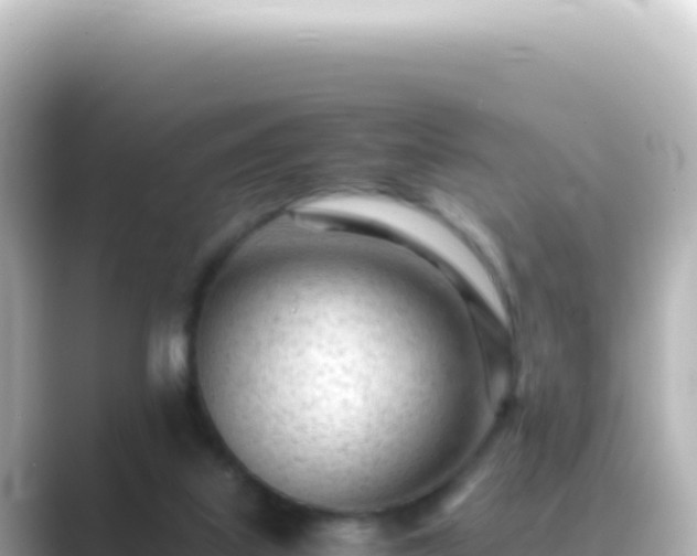 X0000089450067200706221254