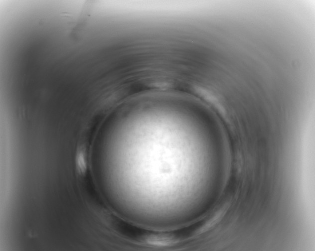 X0000089450069200706221254