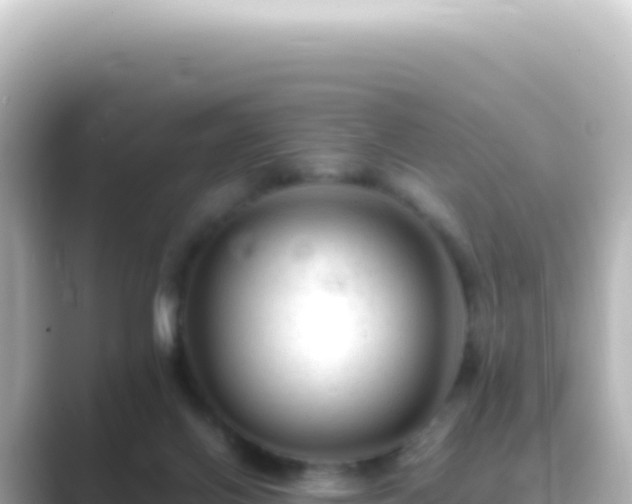 X0000089450070200706221254