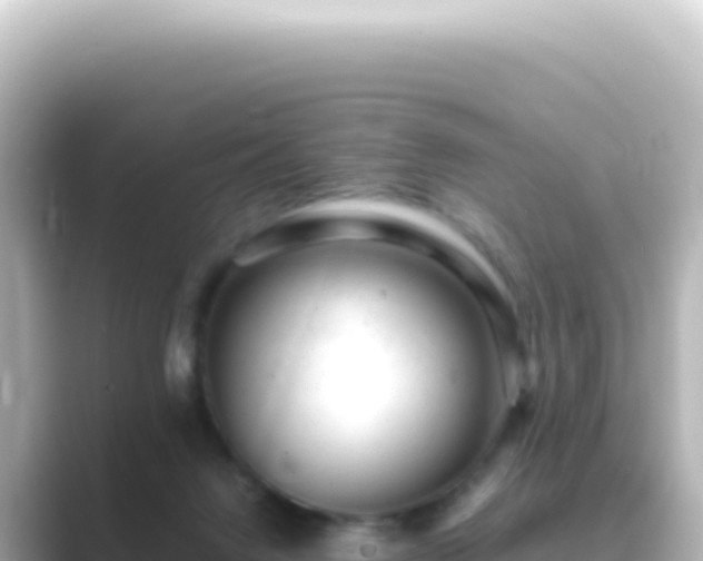 X0000089450072200706221254