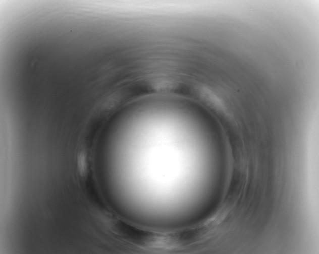 X0000089450074200706221254