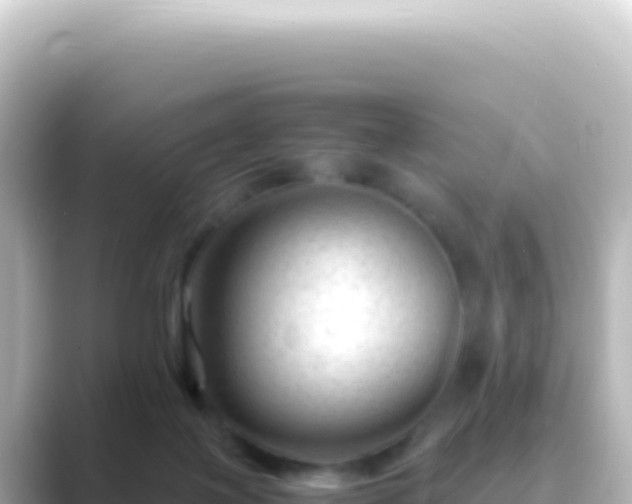 X0000089450075200706221254