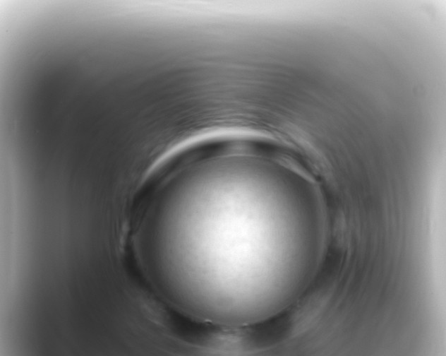 X0000089450076200706221254