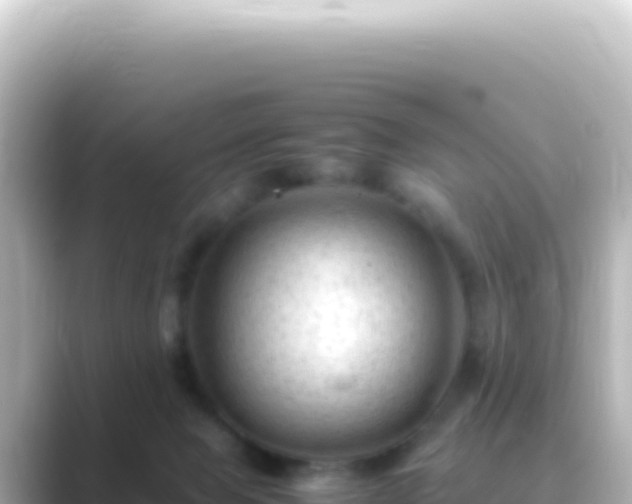 X0000089450077200706221254