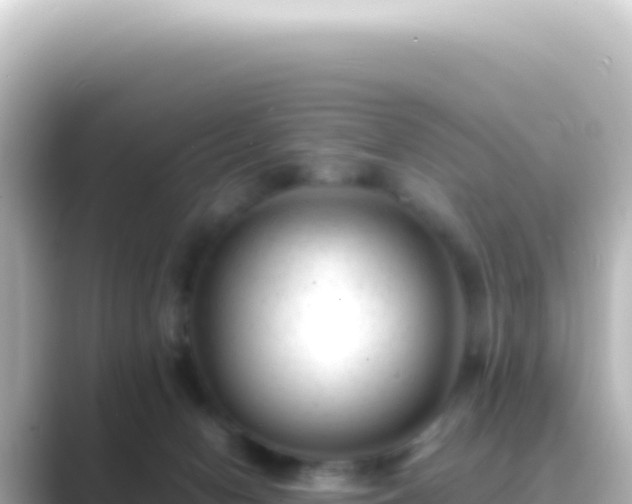 X0000089450078200706221254