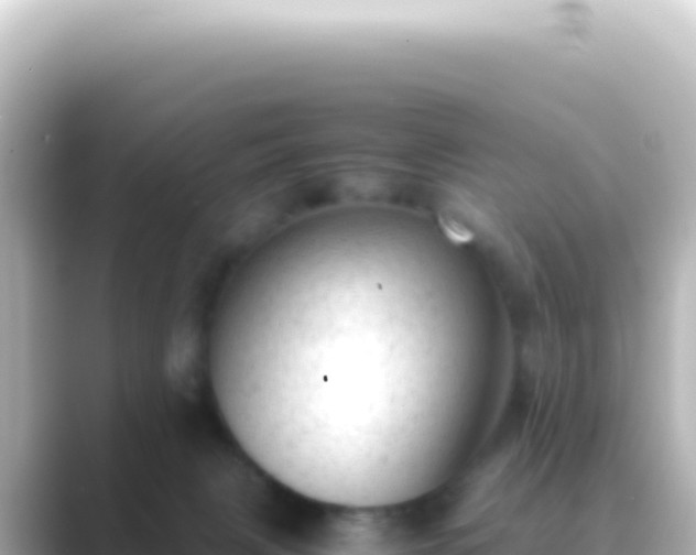 X0000089450079200706221254