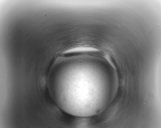 X0000089450081200706221255
