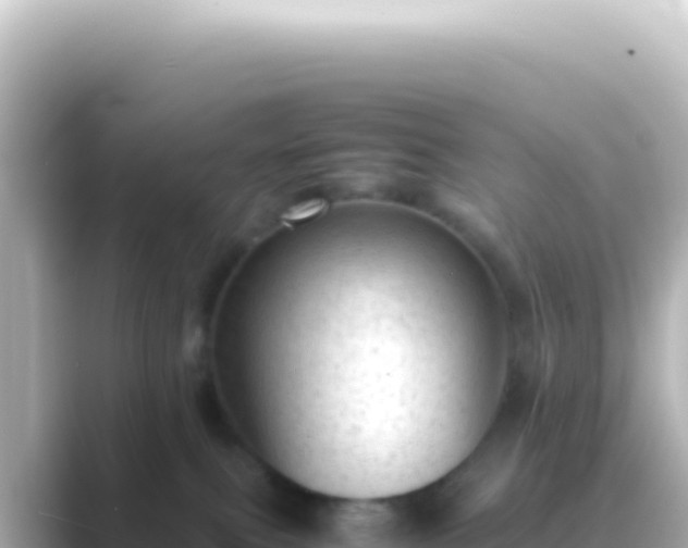 X0000089450087200706221255