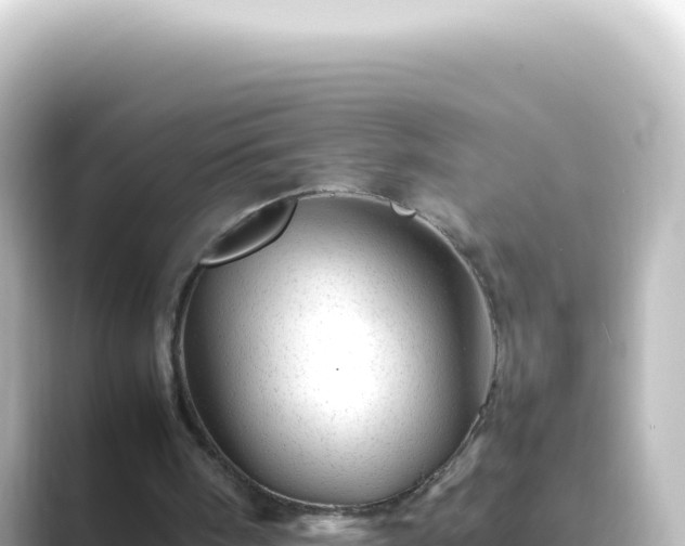 X0000089450098200706221254