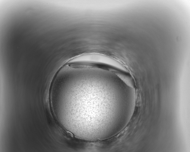 X0000089450099200706221254