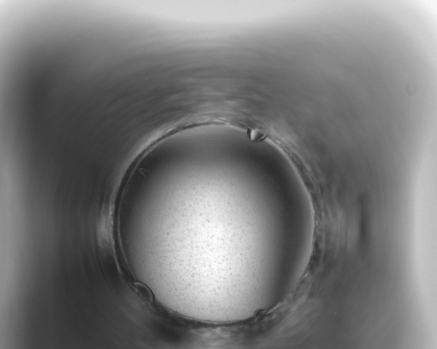 X0000089450100200706221254