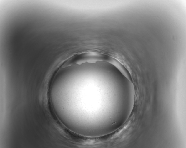 X0000089450101200706221254
