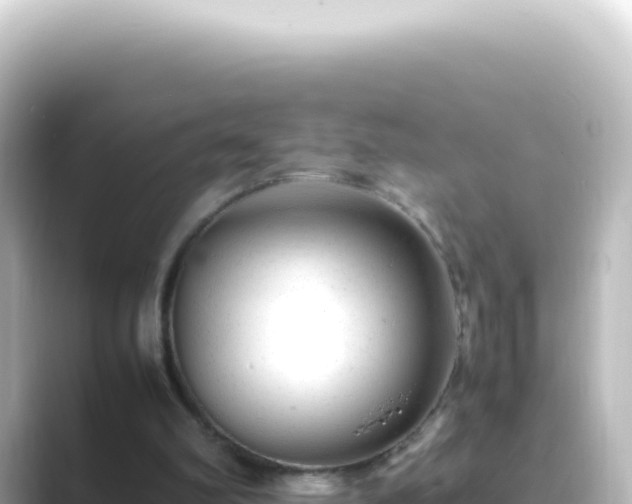 X0000089450102200706221254