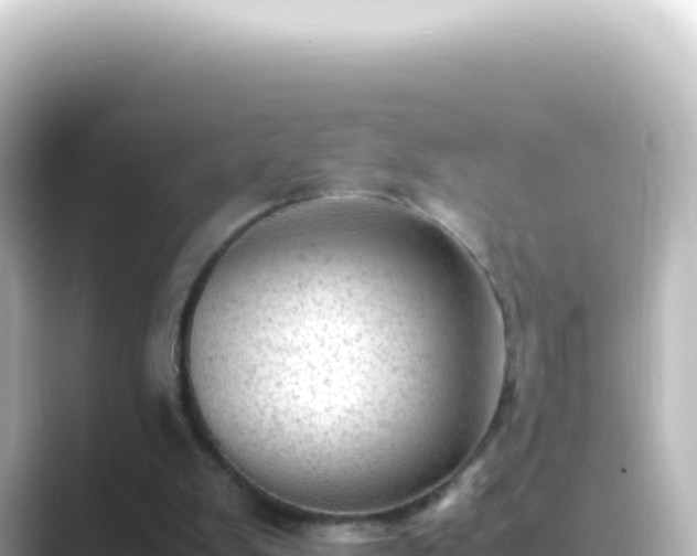 X0000089450103200706221254