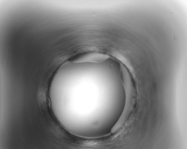 X0000089450105200706221254