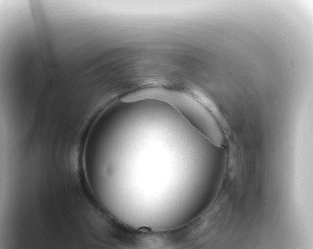 X0000089450106200706221254
