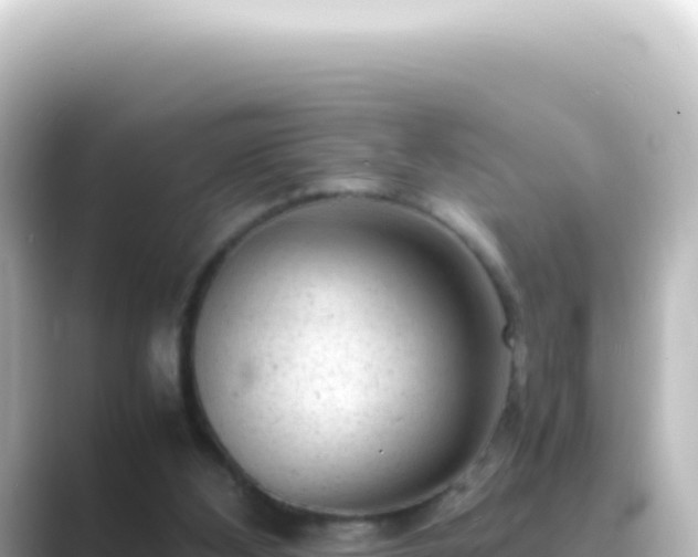 X0000089450108200706221254