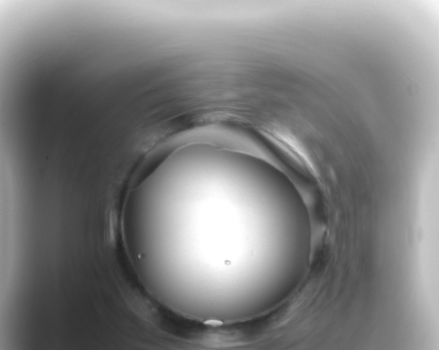 X0000089450109200706221254