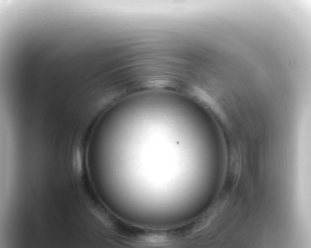 X0000089450110200706221254