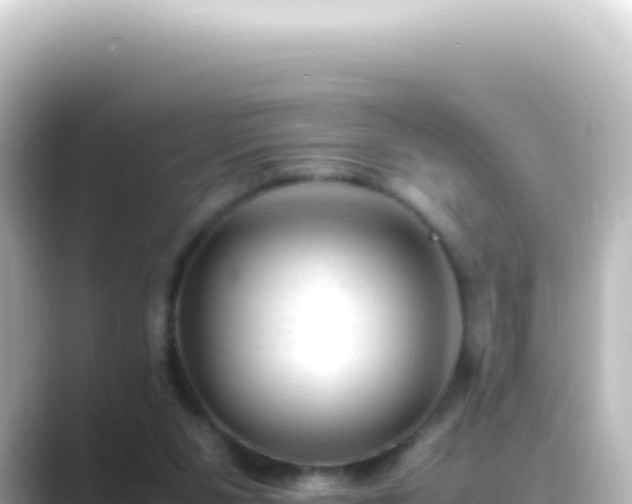 X0000089450111200706221254