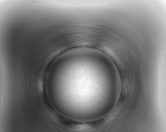 X0000089450112200706221254