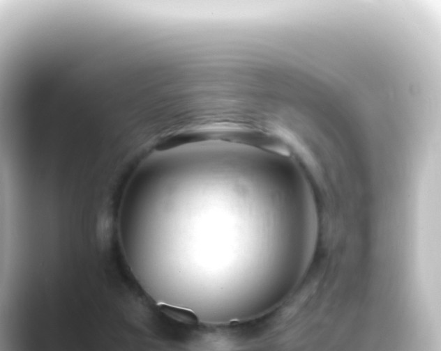 X0000089450113200706221254