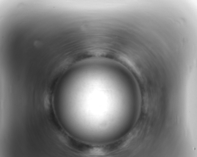 X0000089450114200706221254