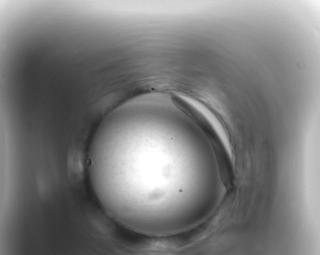 X0000089450115200706221254