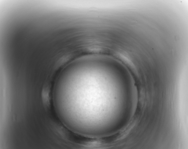 X0000089450116200706221254