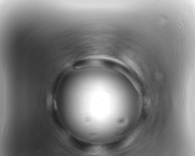 X0000089450117200706221254
