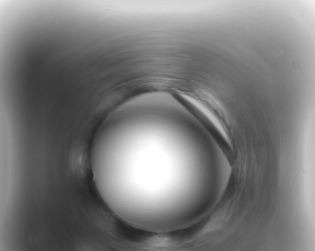 X0000089450119200706221254